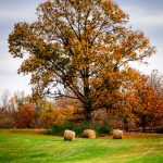 Brentsville Courthouse